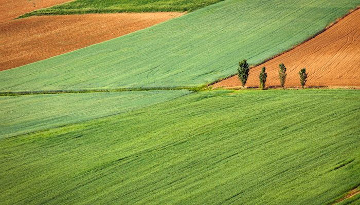 Agricultura de precisión