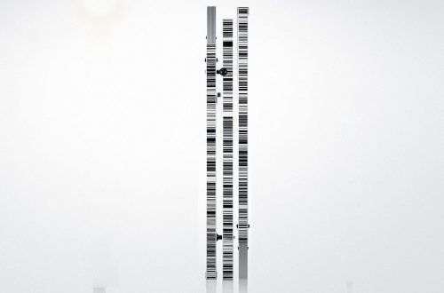 Imagen Mira insertable de fibra de vídrio Leica GKNL4M