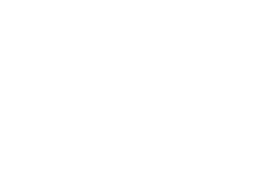 CHNSpec
