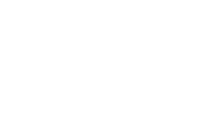 JOUAV