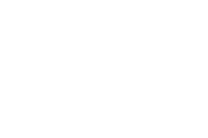 Blue Marble Geographics